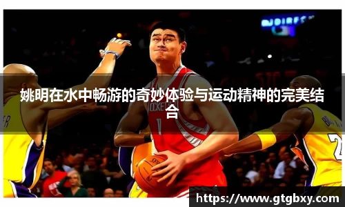 k1体育网页版